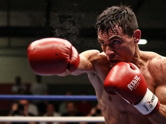 Qui est le plus fort entre la boxe et le karaté ?